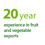 Za nami 15 lat doświadczeń w eksporcie warzyw i owoców